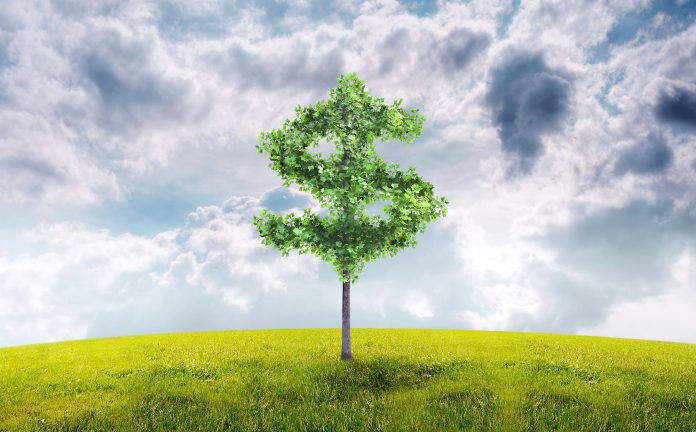Is going green just a trend or a must for businesses