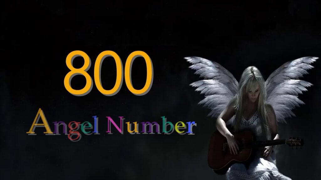 angel number 800